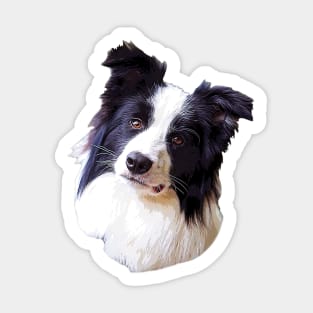 Border Collie Beautiful Dog Breed Sticker